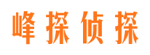 源汇侦探